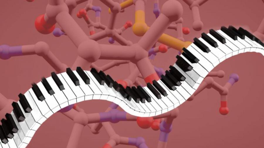 Os investigadores comparan as interaccións do novo sensor co funcionamento dun piano (Foto:Pixabay / CiQUS) Os investigadores comparan as interaccións do novo sensor co funcionamento dun piano (Foto:Pixabay / CiQUS)