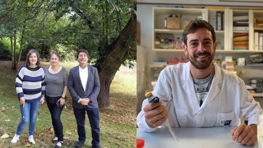 Ramos, Díaz e Pereira, autores do estudo sobre a 'domesticación' do castiñeiro, e Juan Cuñarro, nun laboratorio do CiMUS da USC Ramos, Díaz e Pereira, autores do estudo sobre a 'domesticación' do castiñeiro, e Juan Cuñarro, nun laboratorio do CiMUS da USC