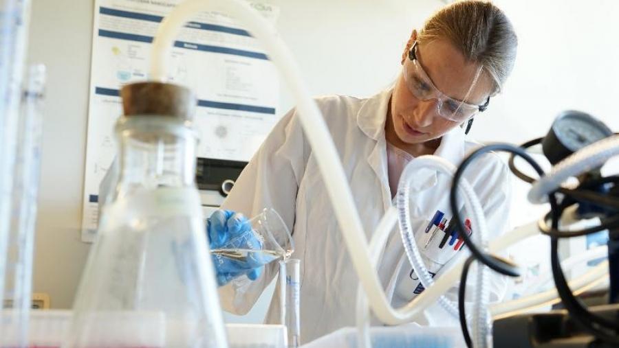 O traballo agora publicado preséntase como unha guía actualizada para interpretar a evolución da medicina de precisión por vía oral. Imaxe de arquivo O traballo agora publicado preséntase como unha guía actualizada para interpretar a evolución da medicina de precisión por vía oral. Imaxe de arquivo