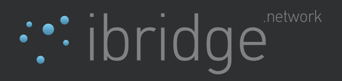 IbridgeNetwork