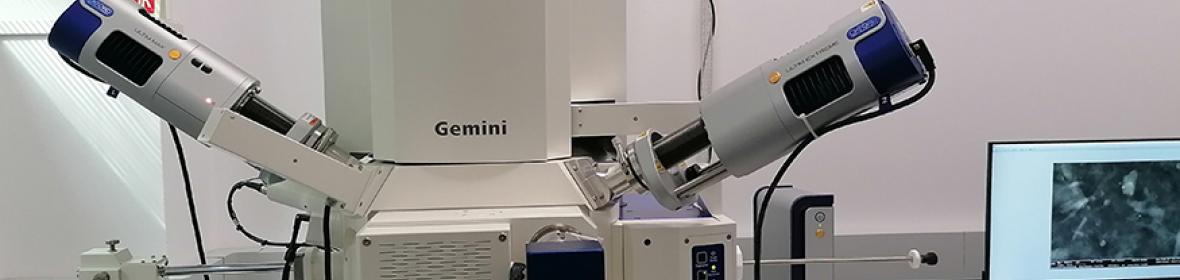 Confocal Microscopy