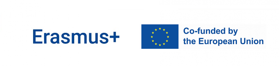 Co-financiado por la UE