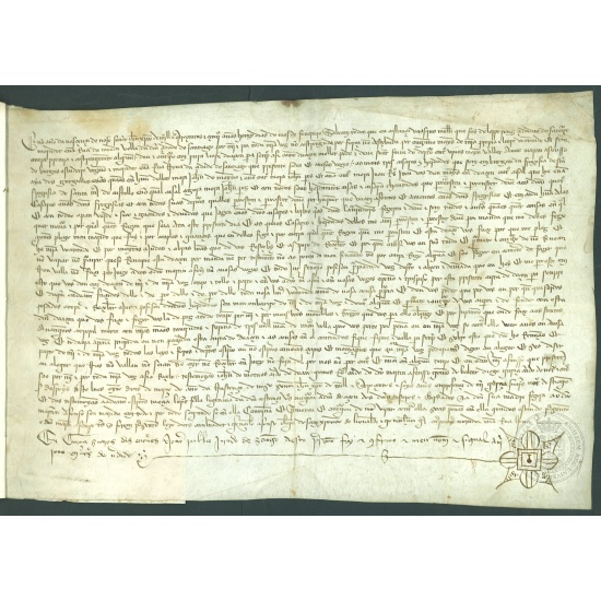 Fondo Universitario. Doazón de Constanza Vázquez a Martín Afonso de Burgos (1405-1406).