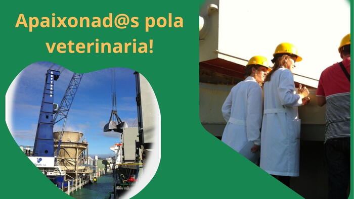 Cartel do foro
