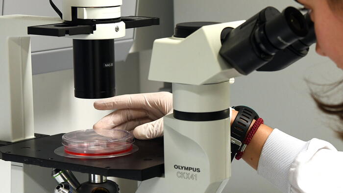 Imaxe de arquivo dun laboratorio da USC. FOTO: Santi Alvite Imaxe de arquivo dun laboratorio da USC. FOTO: Santi Alvite