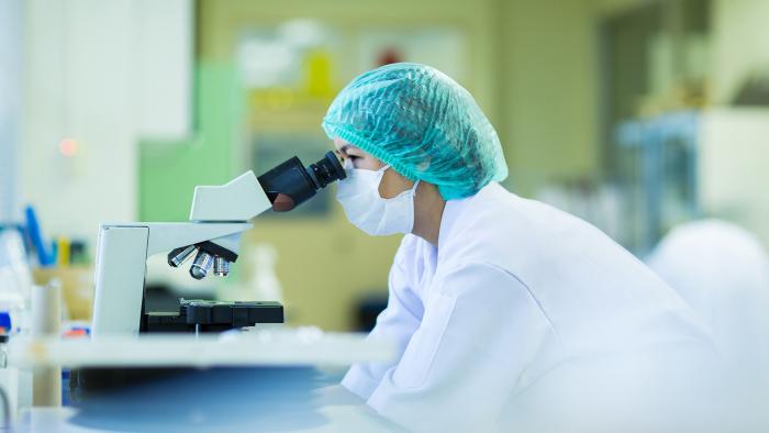Actividades de investigación