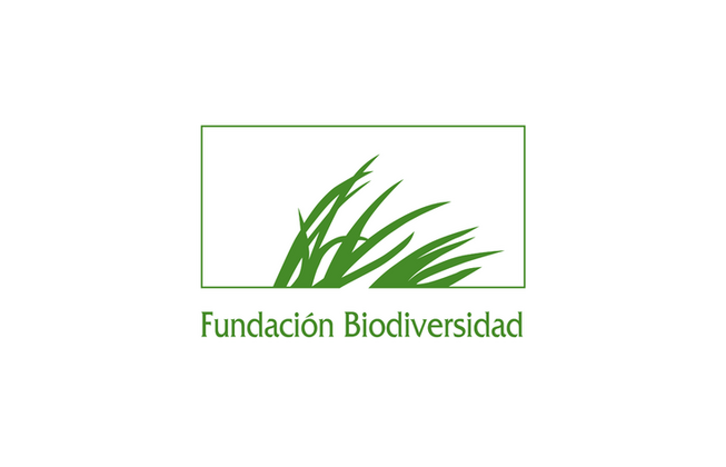 Logo Fundación