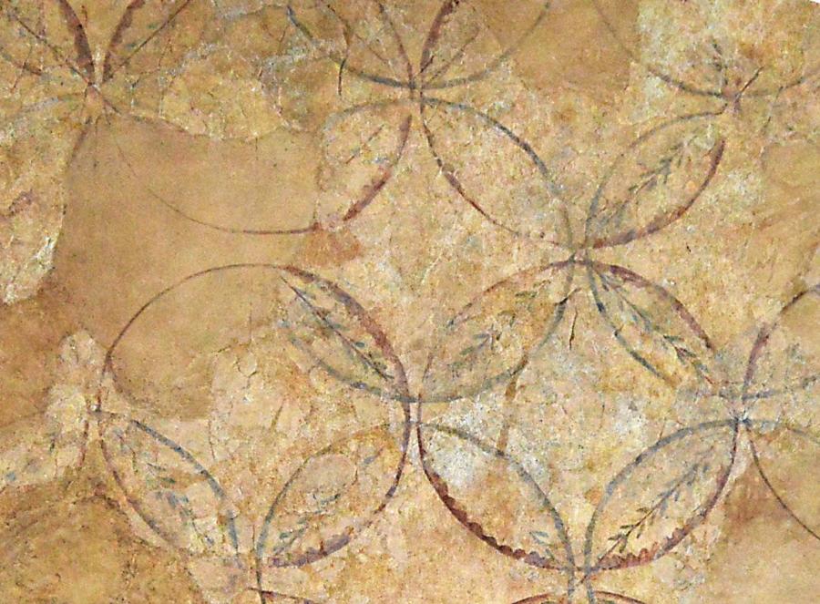 (cc) Museo Universitario A Domus do Mitreo 