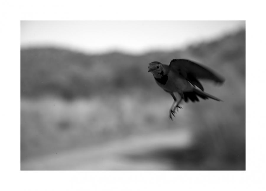 Fotografía de Manuel Vilariño