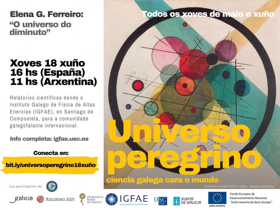 Cartaz da videoconferencia. Foto: IGFAE