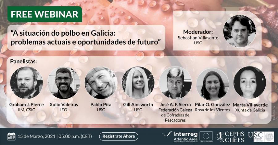 Cartaz con participantes no webinario sobre a situación do polbo en Galicia