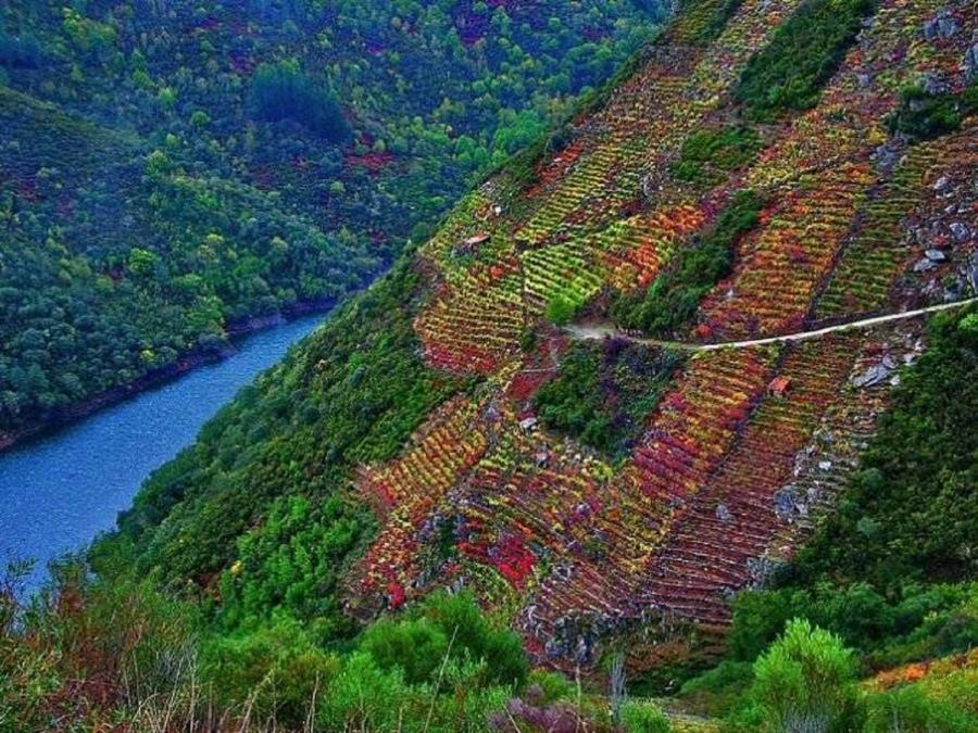 Paisaxe da Ribeira Sacra