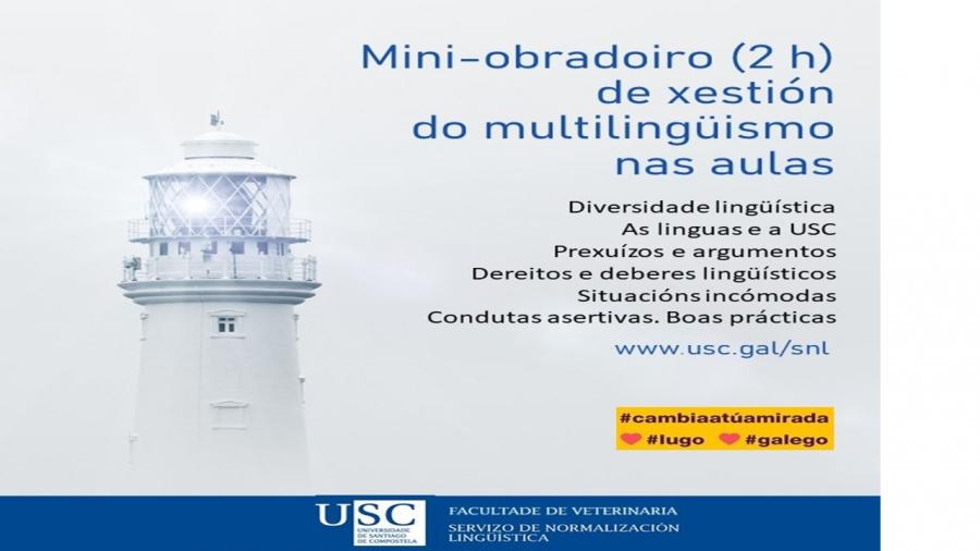 Mini-obradoiro de xestión do multilingüismo nas aulas