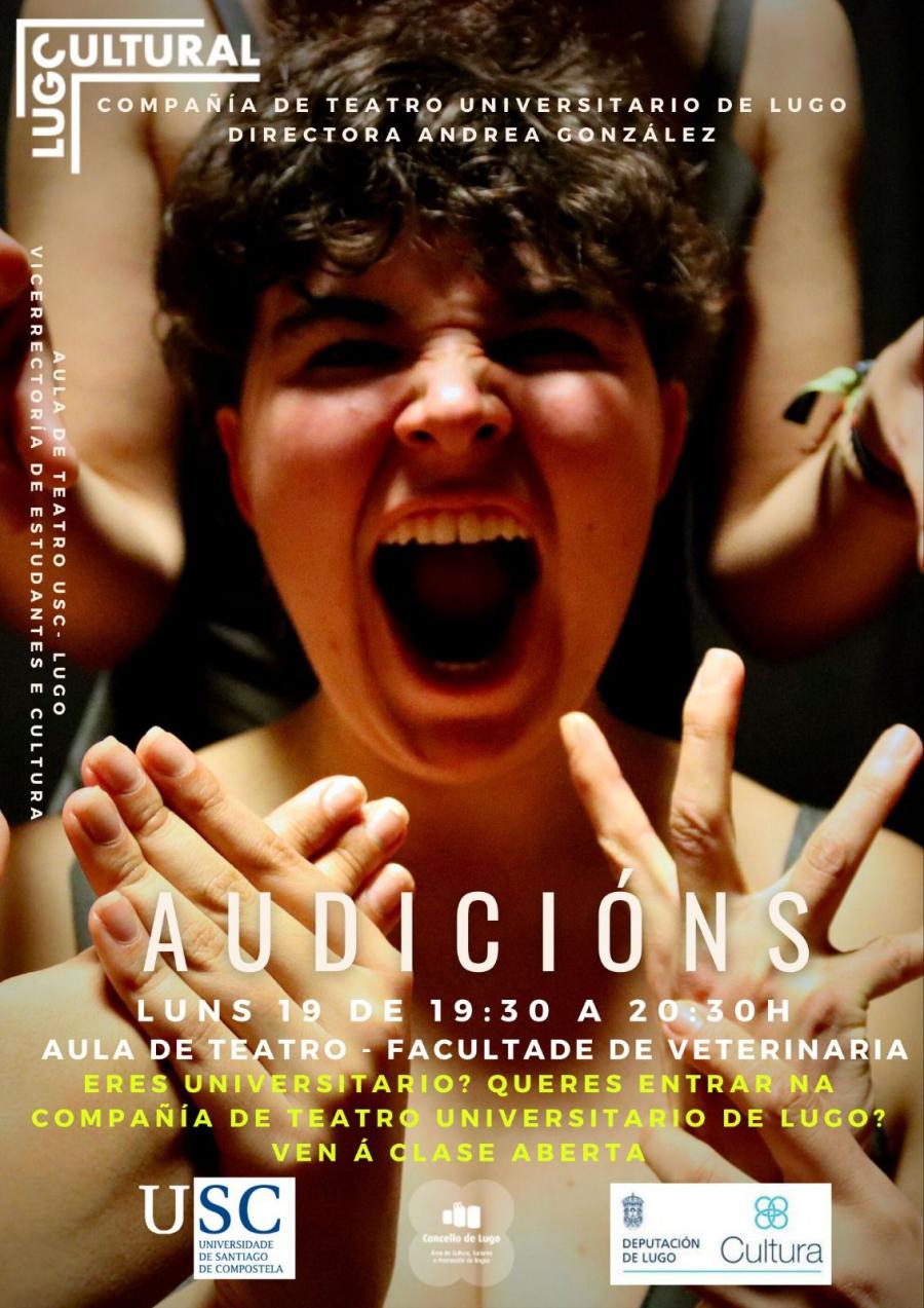 Cartaz da audición