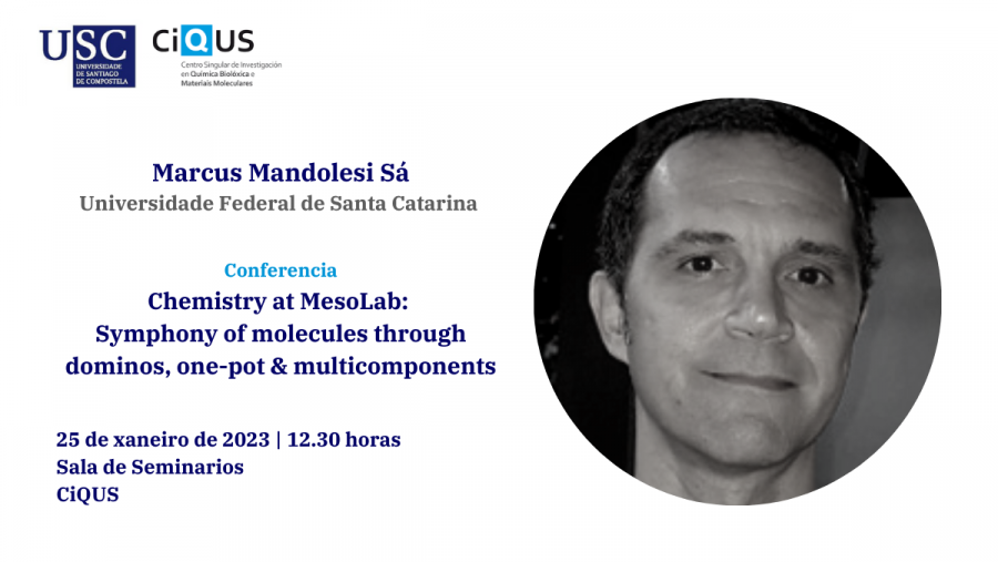 Conferencia de  Marcus Mandolesi Sá, profesor da Universidade Federal de Santa Catarina (UFSC - Brazil)