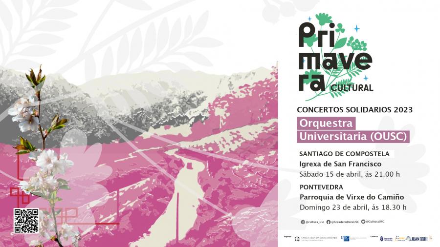 Cartel dos concertos solidarios