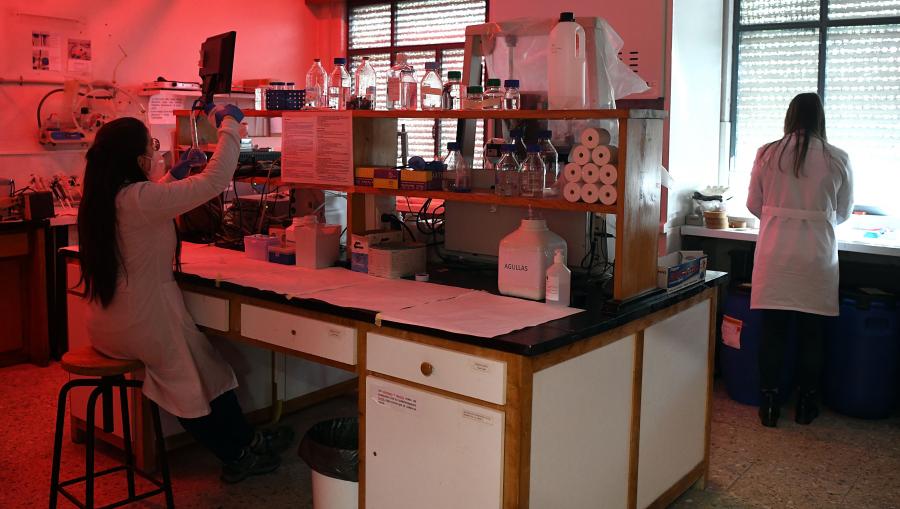Laboratorio da Facultade de Farmacia da USC. FOTO: Santi Alvite 