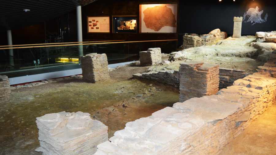 Museo Universitario A Domus do Mitreo