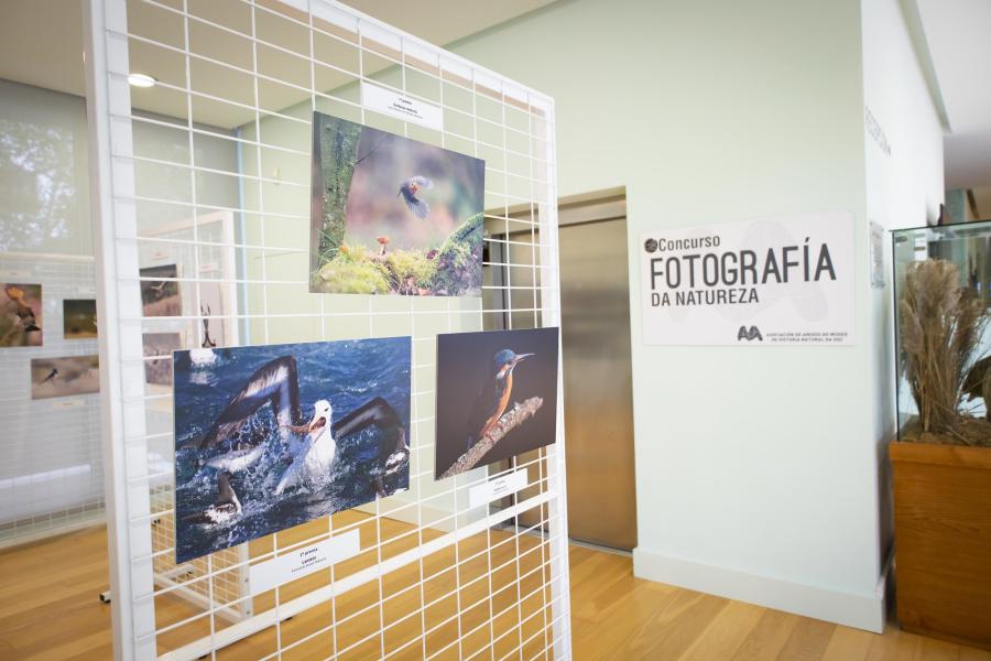 A entrada á exposición é gratuíta