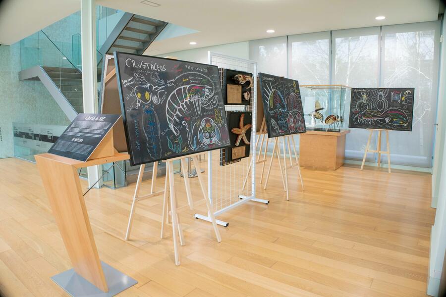 Exposición temporal "Lousa e xiz"