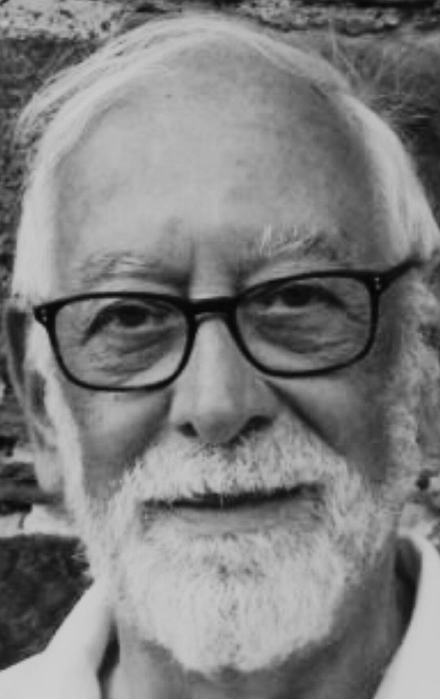 Georges Stoops
