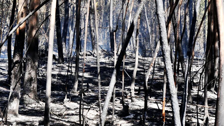 Imaxe de arquivo dun incendio forestal. FOTO: Santi Alvite