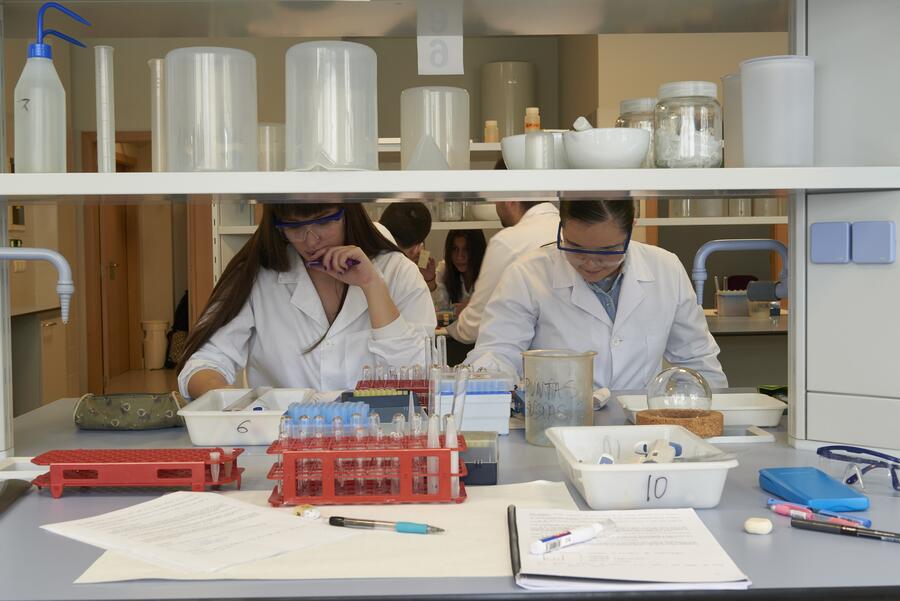 Actividade dun laboratorio da Facultade compostelá de Farmacia. Foto: Santi Alvite