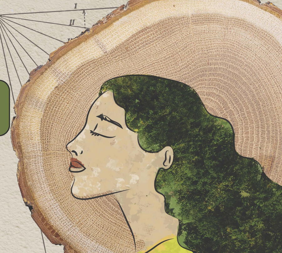 Detalle do cartel