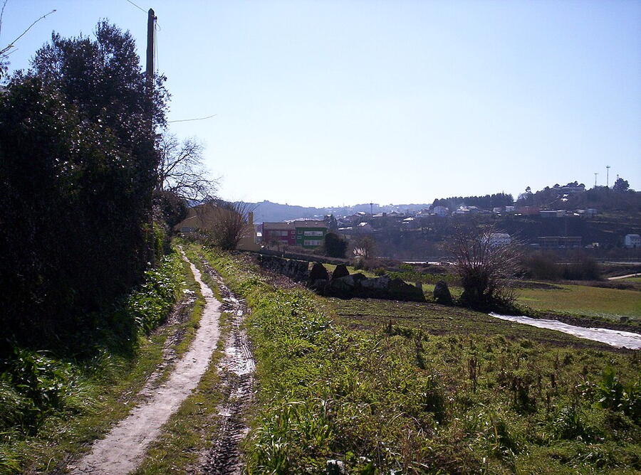 Lugo que mira ao Miño