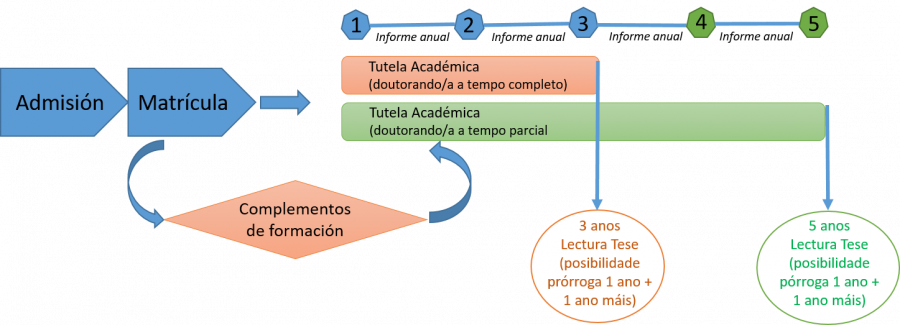 Etapas