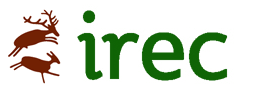 Logo Irec