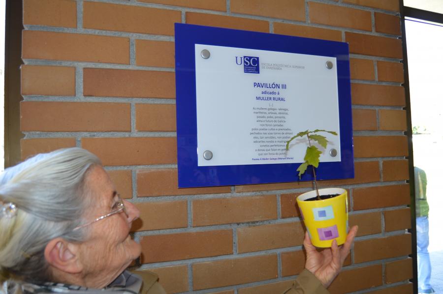 Benedicta Sánchez observa a placa inaugurada na EPSE da USC cunha planta de carballo na man