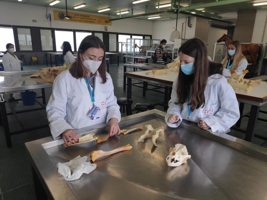 Estudantes en laboratorios do Campus de Lugo