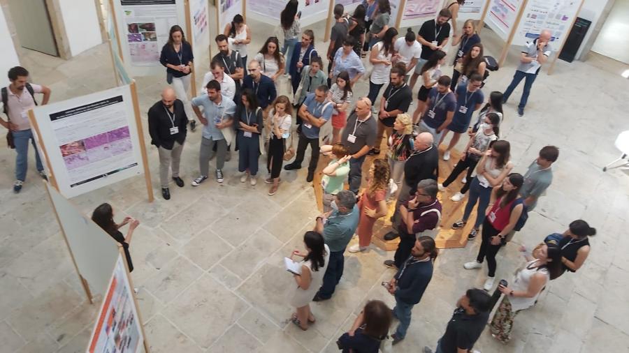 Presentación de pósters científicos no Vello Cárcere de Lugo