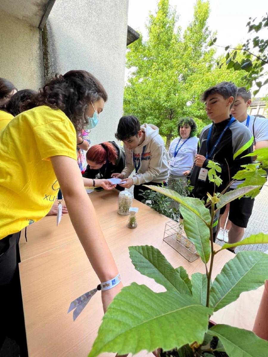 Estudantes, nunha das actividades da xincana de XuvenCiencia