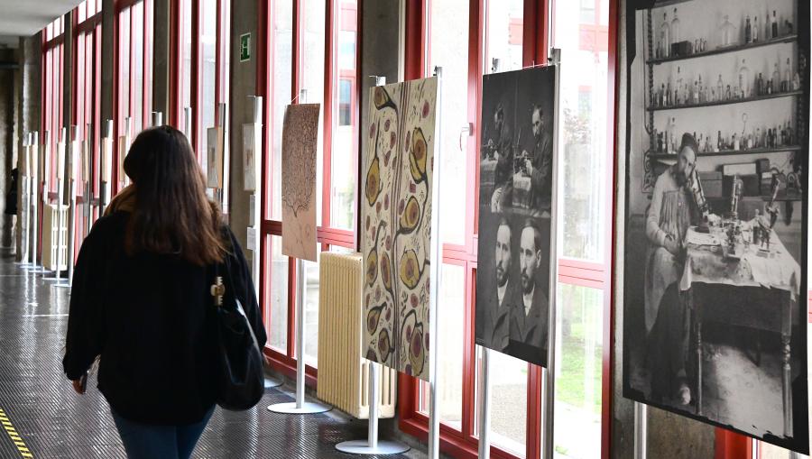 A mostra poderá ser visitada na Facultade de Medicina e Odontoloxía ata mes de decembro. FOTO: Santi Alvite