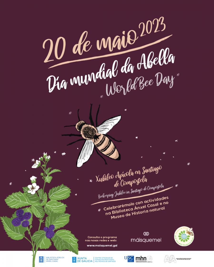 Cartel Día da Abella