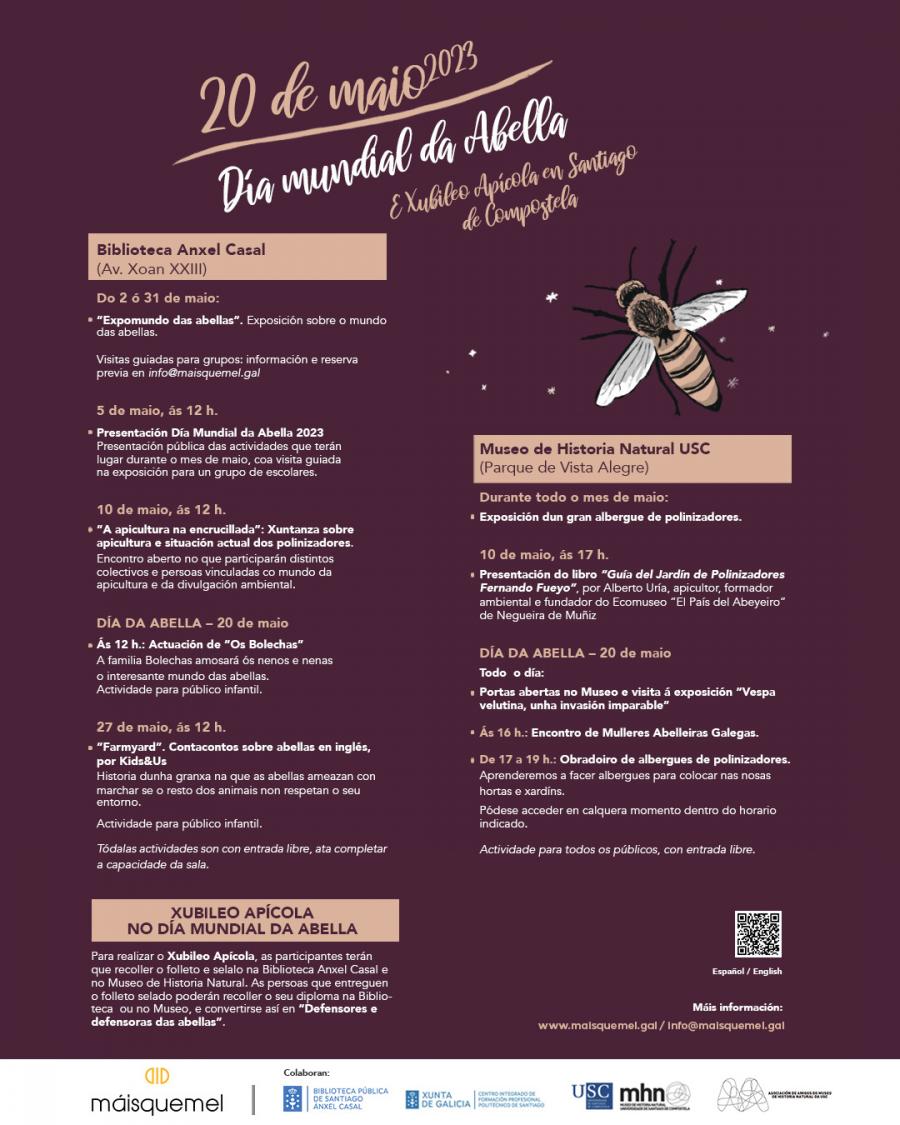 Programa Día da Abella