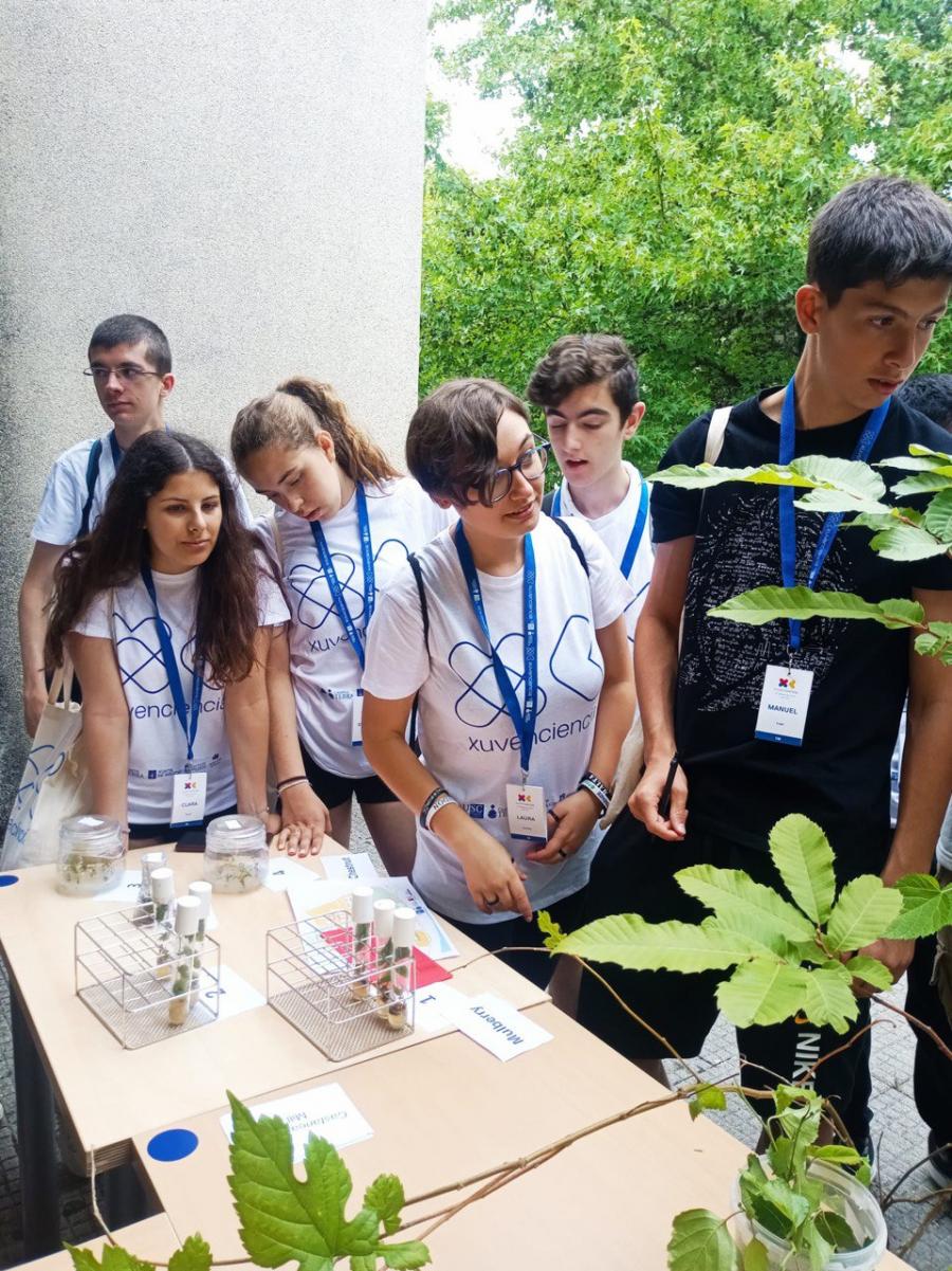 Participantes no XI Campus de Verán XuvenCiencia