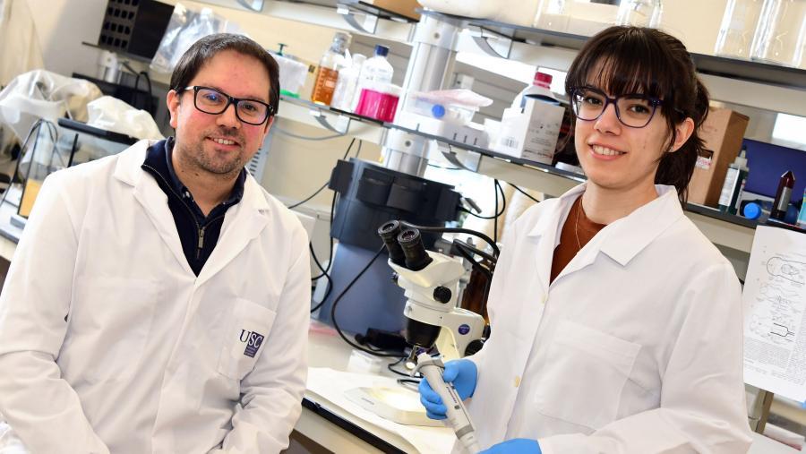 Antón Barreiro e Laura González Llera no seu laboratorio da USC. FOTO: Santi Alvite 