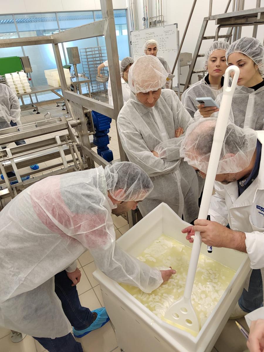 Participantes nos obradoiros prácticos do curso de elaboración de queixos de pasta branda