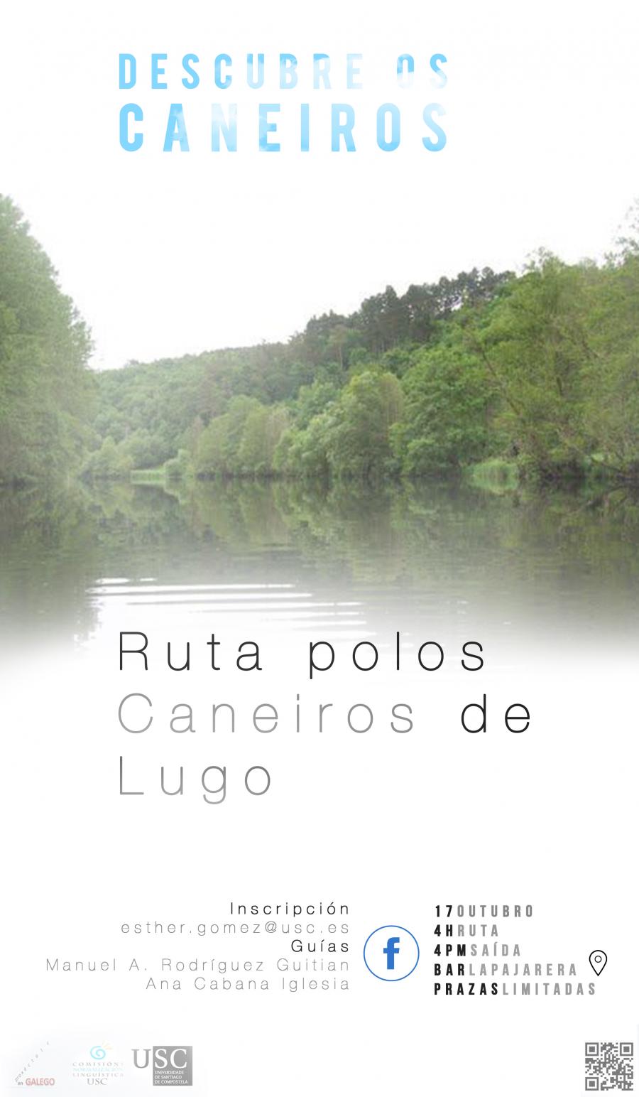 Camiñada polos caneiros (2017)