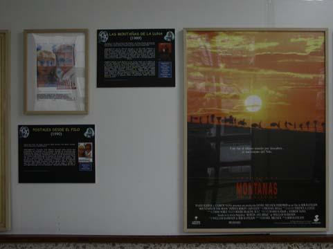 Carteles 5