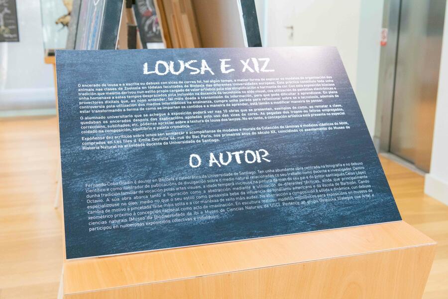 Lousa e xiz