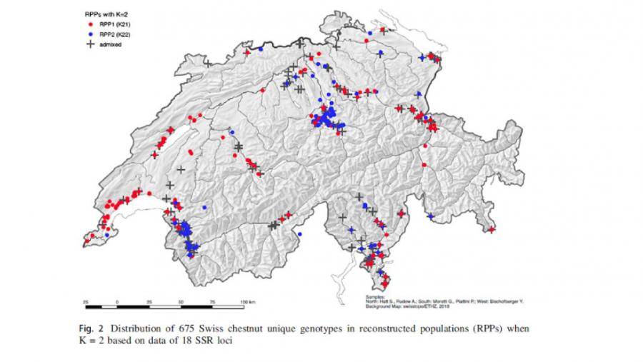 Distribución dos xenotipos de castiñeiros en Suíza. Figura do artigo