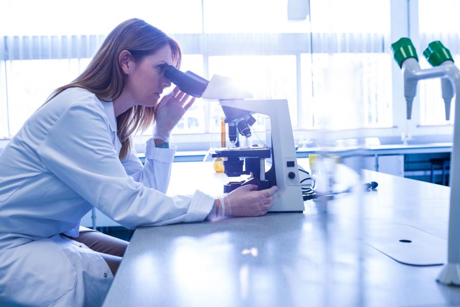 Imaxe dun laboratorio