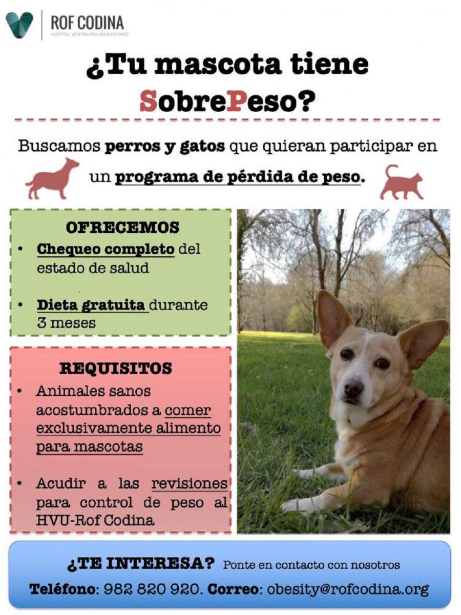 Cartaz co programa de control de peso en mascotas promovido polo hospital veterinario Rof Codina