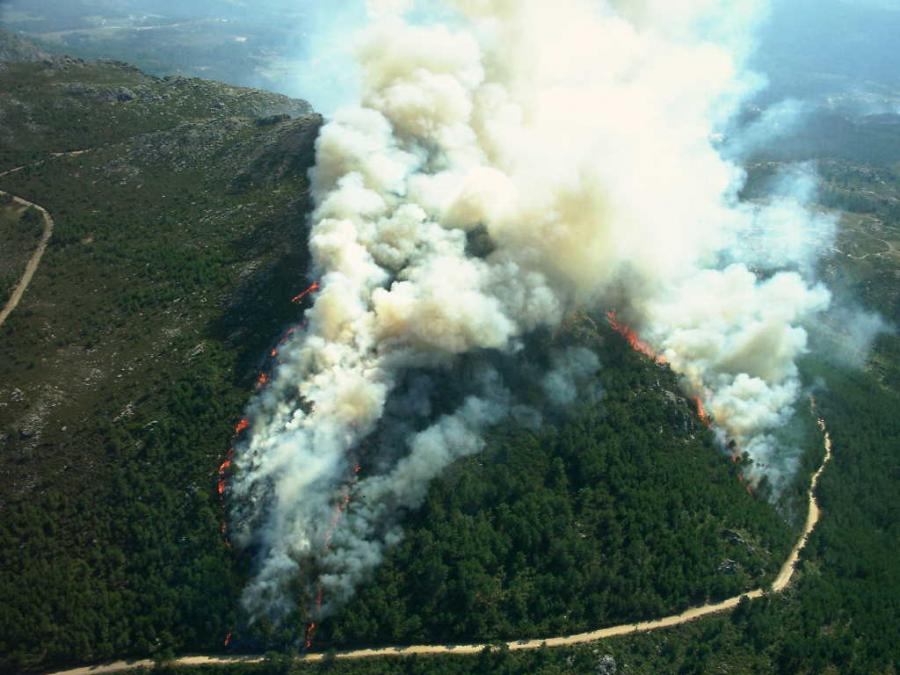 Vista aérea do incendio dun piñeiral