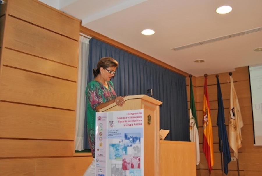 Comunicación Cristina Castillo