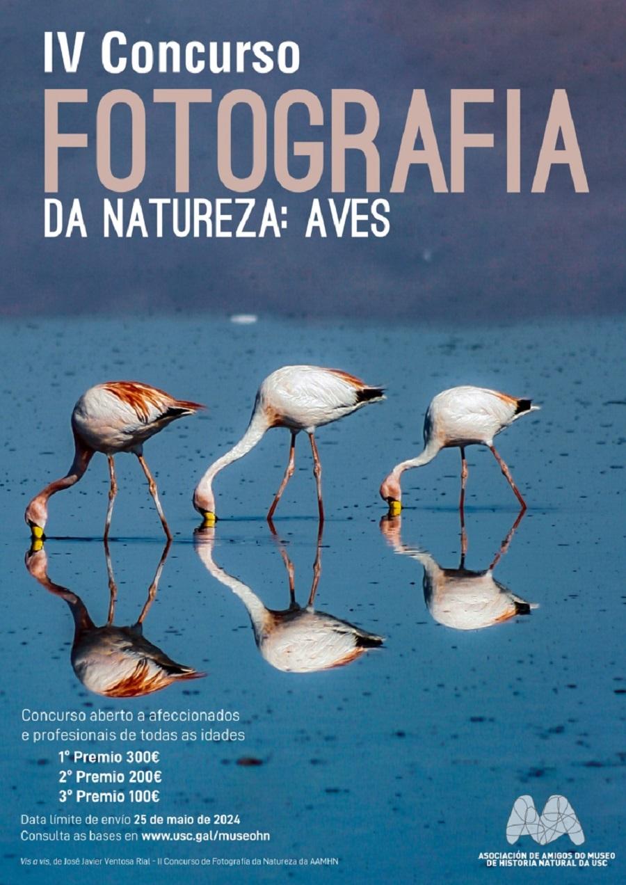 Cartel do concurso